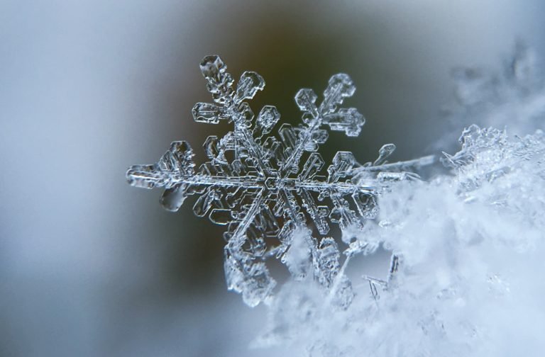 Liberals are Not Pretty Snowflakes
