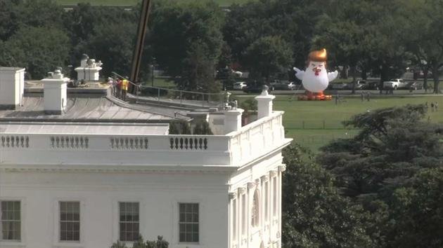 Giant inflatable chicken appears behind White House | abc7.com